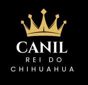 Canil Rei do Chihuahua